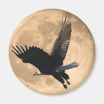 Flying BALD EAGLE & FULL MOON Wildlife Magnet