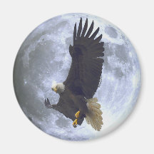 Flying BALD EAGLE & FULL MOON Wildlife Magnet