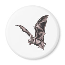 Flying Bat magnets