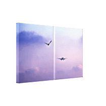Flying Bird & Airplane Duet in The Sky Canvas Print
