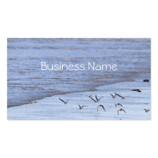 Flying Birds along the Shoreline  Business Card (front side)