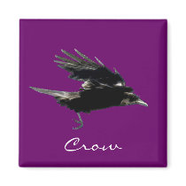Flying Black Crow Birdlover's Magnet