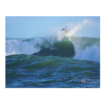 Flying Bowls Ala Moana Postcards