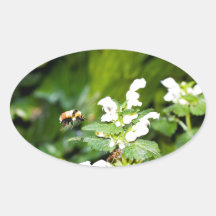 Flying Bumblebee Stickers