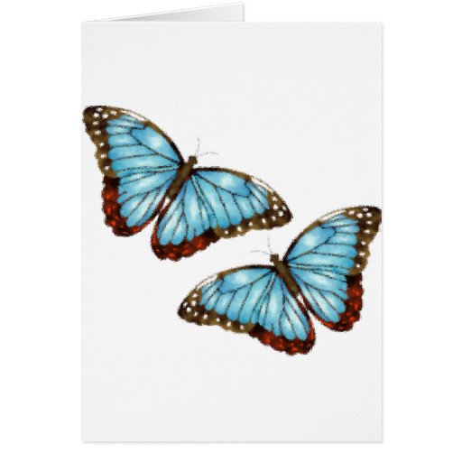 Flying Butterflies Greeting Cards Zazzle