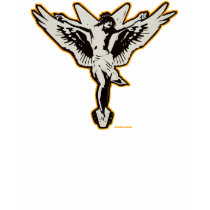 Flying C t-shirts by badmonkey Flying C t-shirts