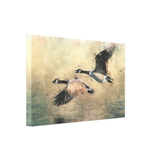 Flying Canada Geese wrappedcanvas