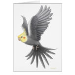 Flying Cockatiel Card