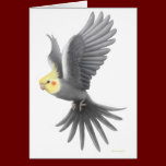 Flying Cockatiel Card cards