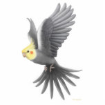 Flying Cockatiel Holiday Ornament Photo Cutout