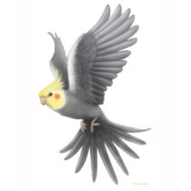 Flying Cockatiel Spaghetti Top t-shirts
