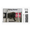  Flying Corso postage