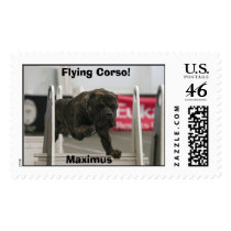 Flying Corso postage by karinlong Flying Corso postage