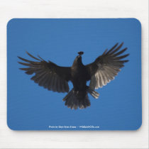 FLYING CROW & COIN mousepads