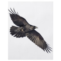 Flying Crow Full Color Flyer