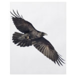 Flying Crow flyers