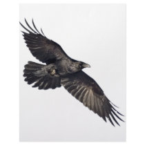 Flying Crow letterhead