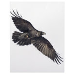 Flying Crow letterhead