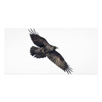 Flying Crow Photo Greeting Card