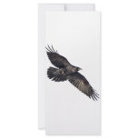 Flying Crow Custom Rack Card