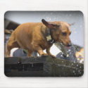 Flying Dachshund mousepad