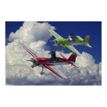 Flying dogs 3 posters by JamieTheDogdotCom Flying dogs 3 posters