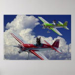 Flying dogs 4 posters