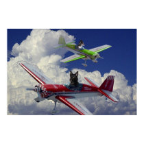 Flying dogs 5 posters by JamieTheDogdotCom Flying dogs 5 posters