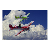 Flying dogs posters