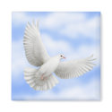 Flying Dove Magnet by CarolynMcFann Flying Dove Magnet