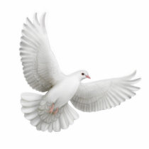 Flying Dove Ornament photo sculptures