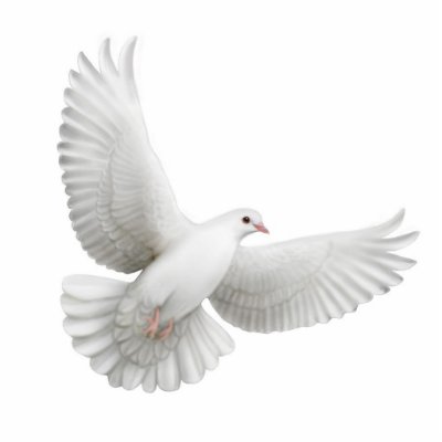 wedding doves clip art