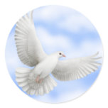 dove, doves, pigeon, pigeons, peace, love,