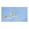 Flying doves business cards
