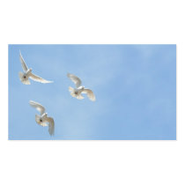Flying doves business cards