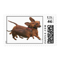 Flying Doxies Stamp