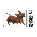 Flying Doxies postage