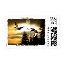 FLYING DUCKS POSTAGE STAMPS