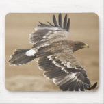 Flying Eagle Bird Mouse Pad