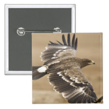 Flying Eagle Bird Square Pin