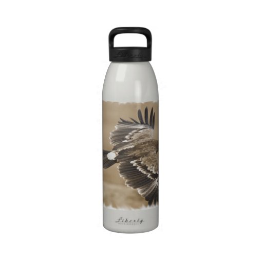 Flying Eagle Bird Water Bottle