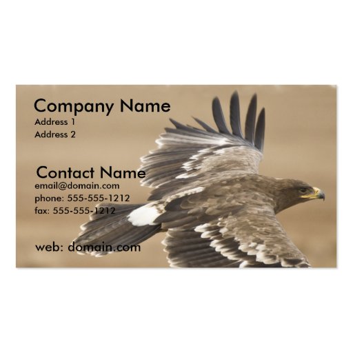Flying Eagle Business Card (front side)