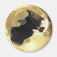Flying EAGLE, FISH & FULL MOON Wildlife Magnet