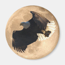 Flying EAGLE, FISH & FULL MOON Wildlife Magnet