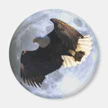 Flying EAGLE, FISH & FULL MOON Wildlife Magnet