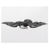 FLYING EAGLE flyers