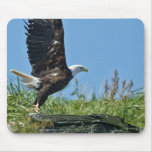 Flying Eagle Mouse Pad
