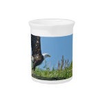 Flying Eagle Pitcher