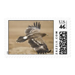 Flying Eagle Postage Stamp