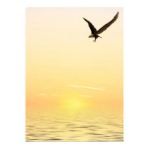 Flying Eagle posters by kirschner710 Flying Eagle posters